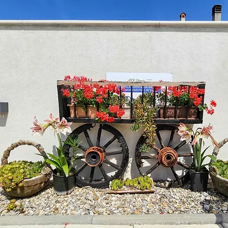 Olimpia 3 Appartement *